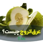 عرق اتروج در عطاری هاشمیان