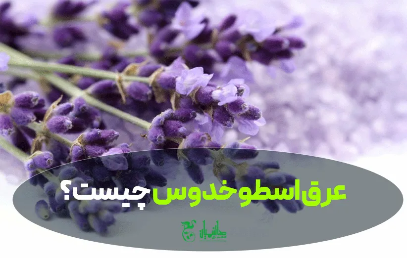 عرق اسطوخدوس چیست؟