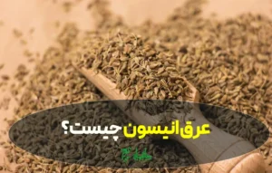 عرق انیسون چیست؟ خواص، طبع، طریقه مصرف و فواید برای کودکان و بزرگسالان