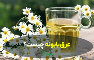 عرق بابونه چیست؟ خواص، طبع، طریقه مصرف و مضرات