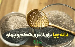 بهترین زمان و طریقه مصرف دانه چیا برای لاغری شکم و پهلو