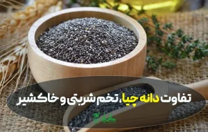 تفاوت دانه چیا، تخم شربتی و خاکشیر؛ کدام برای کاهش وزن بهتر است؟