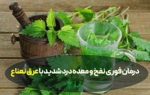 درمان فوری نفخ و معده درد شدید با عرق نعناع؛ افسانه یا واقعیت؟