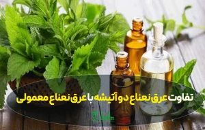 تفاوت عرق نعناع دو آتیشه با عرق نعناع معمولی چیست؟ راهنمای کامل خرید عرق نعناع اصل و باکیفیت